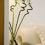 Petasos & - Small Luxury Of The World Semesteranläggning (resort) Platys Gialos (Mykonos)