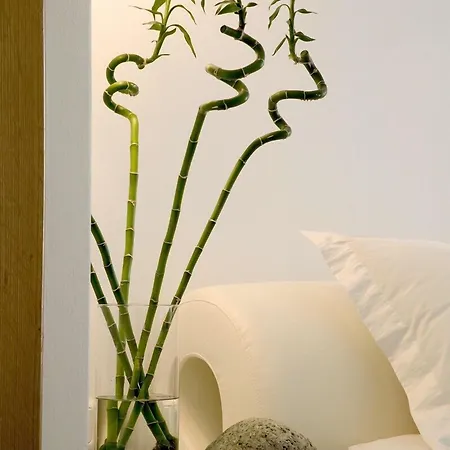 Petasos & - Small Luxury Of The World Semesteranläggning (resort) Platys Gialos (Mykonos)