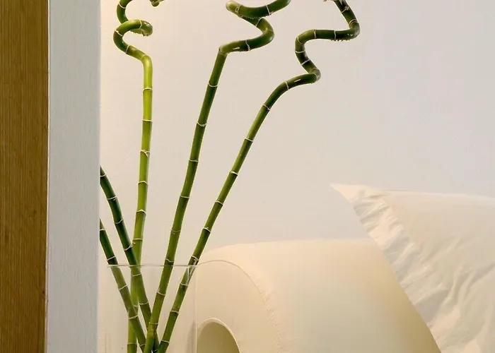 Petasos & - Small Luxury Of The World Resort Platys Gialos (Mykonos)